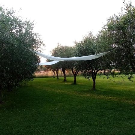 Vecchio Casale Margherita Camaiore Exterior foto